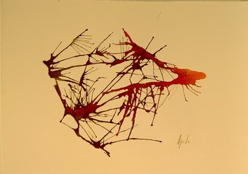 20050807.JPG