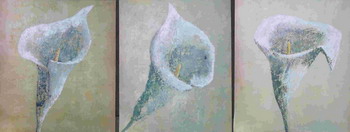 20050821.jpg
