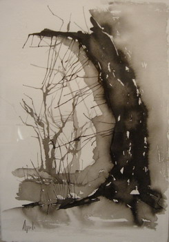 2006marzo13.jpg